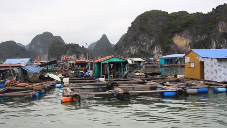 Pueblo-Flotante-Tradicional-En-La-Bahía-De-Halong,-Cat-Ba,-Vietnam,-Pescadores-Pobres-Que-Viven-Y-Trabajan-En-Casas-Flotantes