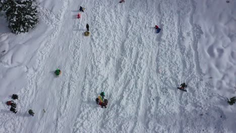 Luftaufnahme-Von-Menschen-Im-Sled-Park-In-Nordkalifornien