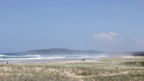 group of people walking along a scenic beach