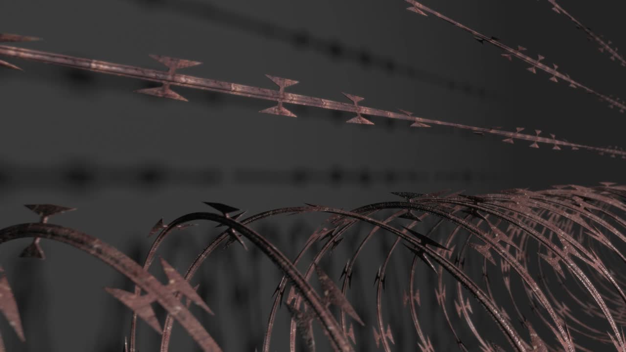 Razor Wire Loop 02