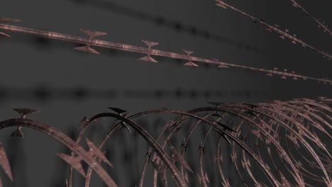 razor wire loop 02