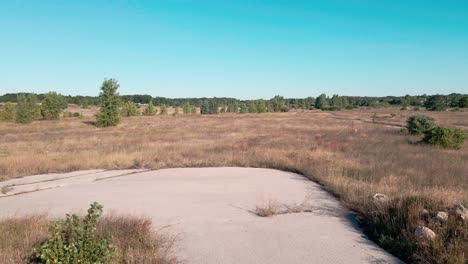 Overgrown-grass-surrounding-an-old-motel