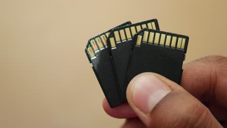 close-up of a hand holding four sd cards