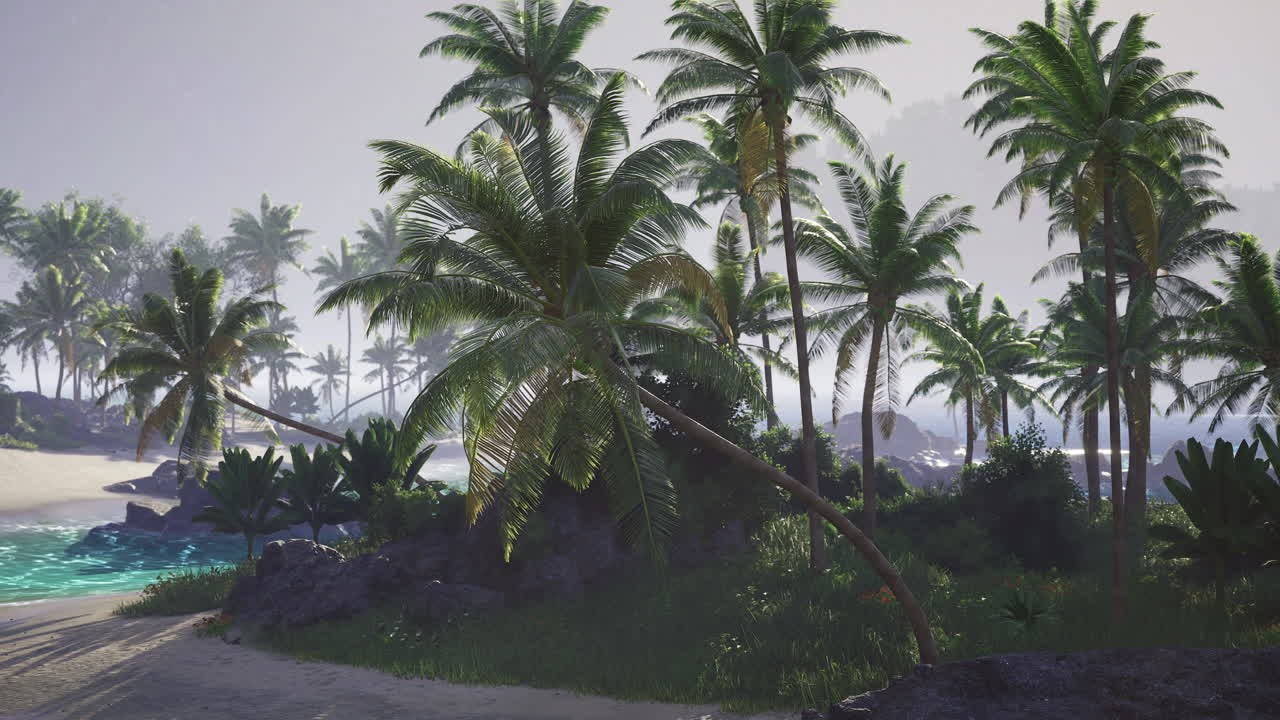 Lush tropical landscape featuring palm trees near a tranquil beach setting