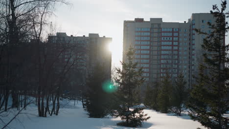 winter scene featuring snow covered ground with mix of bare and evergreen trees, tall residential buildings in background, and sun peeking between structures creating subtle green light effect