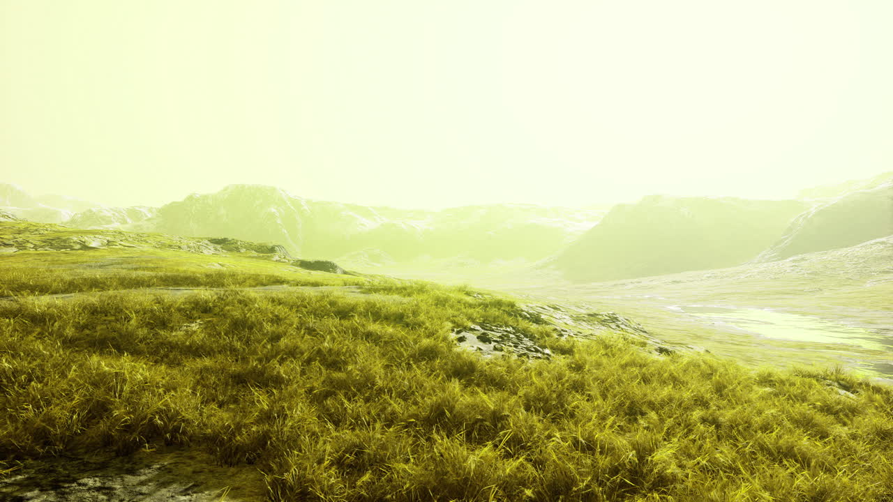 Vast green landscape illuminated by bright yellow light in a serene environment