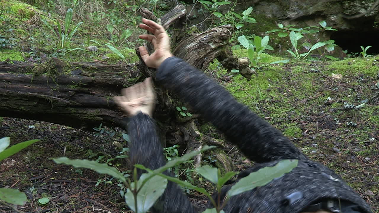 마치 자신의 몸이 또 다른 자연의 요소인 것처럼 자연 속에서 창조하는 예술가의 퍼포먼스