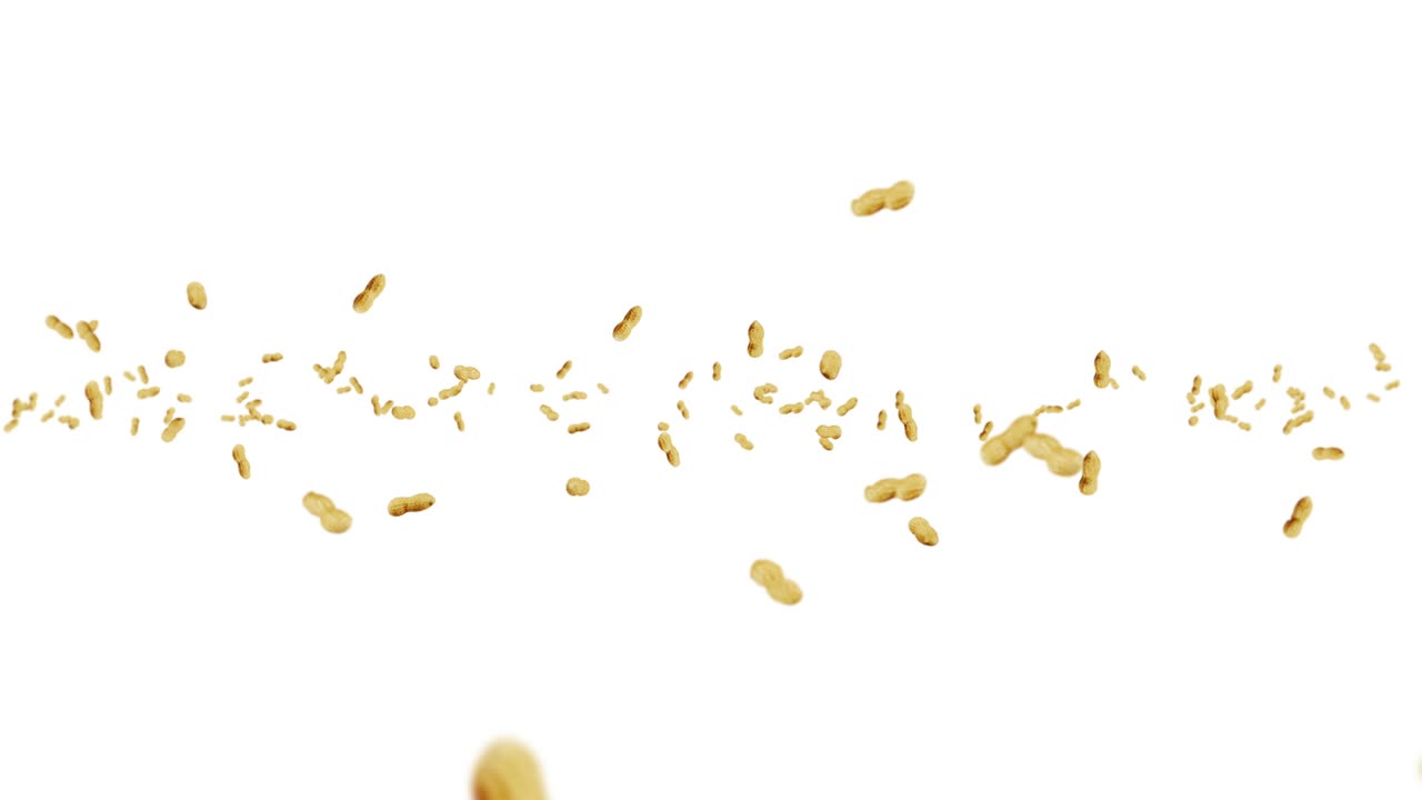 volare molte arachidi su sfondo bianco. arachidi crudi. arachidi in gusci. cibo biologico sano. animazione a ciclo 3d della rotazione dei semi.