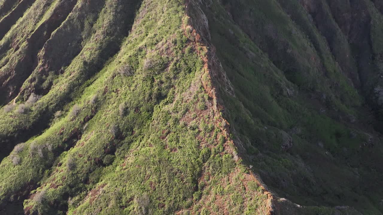 60 fps drone aéreo koko head caminata por la montaña oahu hawaii panoramización en la cresta y mostrando la vista de los barrios de hawaii kai al mediodía mucha luz solar