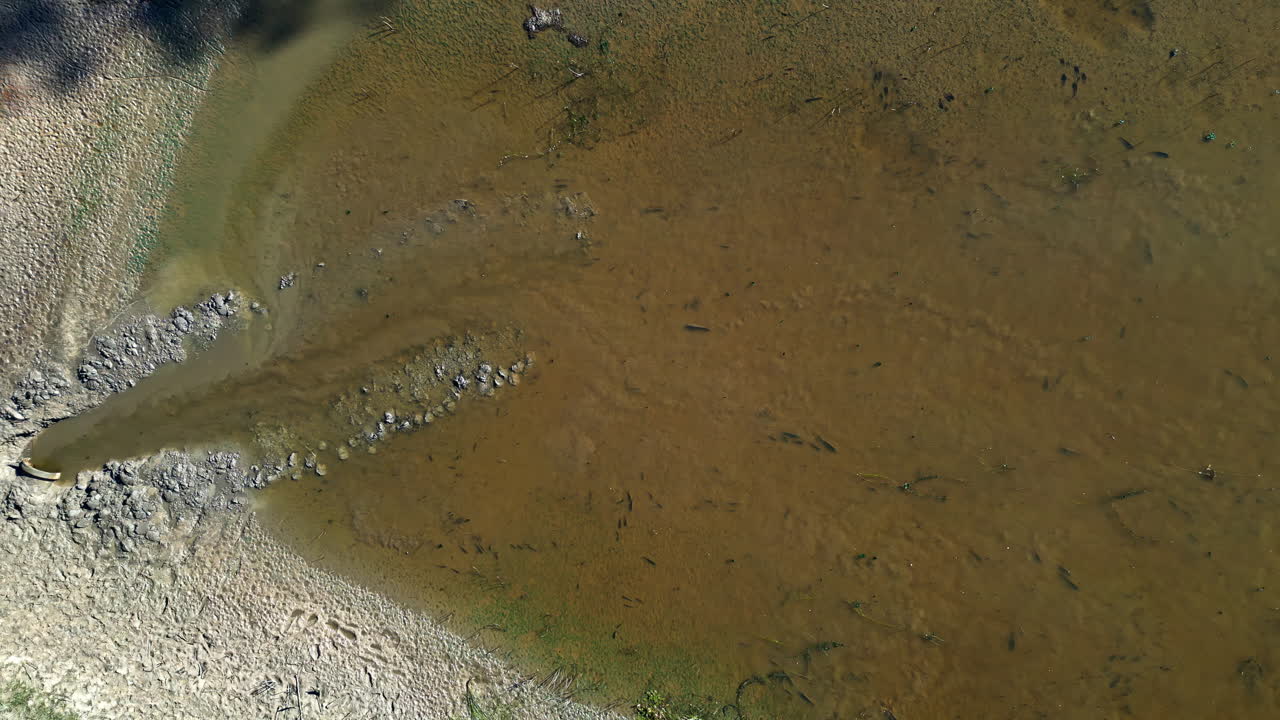 Stale stagnant water pond, lake in rural field, aerial drone top-down view