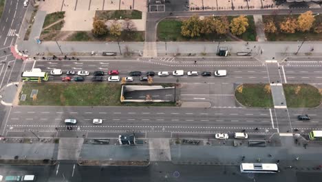 people walking over the pedestrian crossing