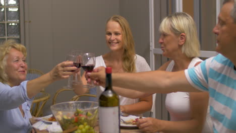 evening meal with wine in family circle