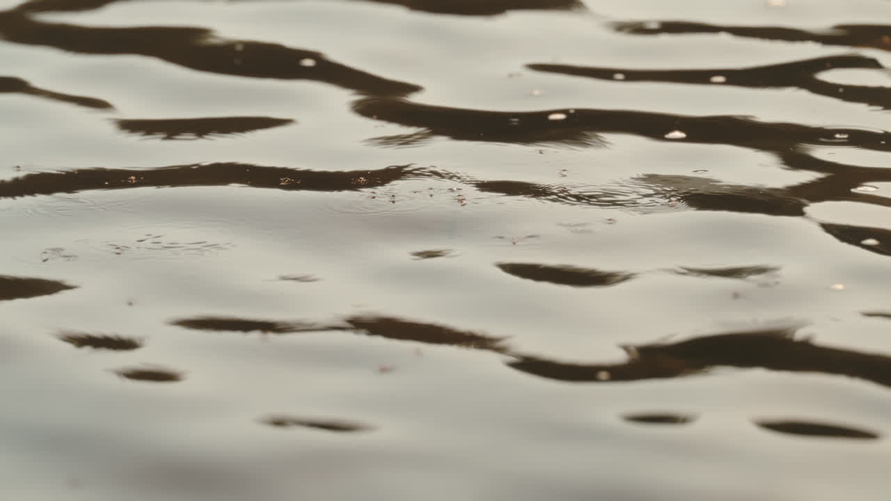Slow motion closeup of flies hovering above river surface, ripples forming on water as golden hour light reflects, capturing tranquil outdoor and fly fishing environment