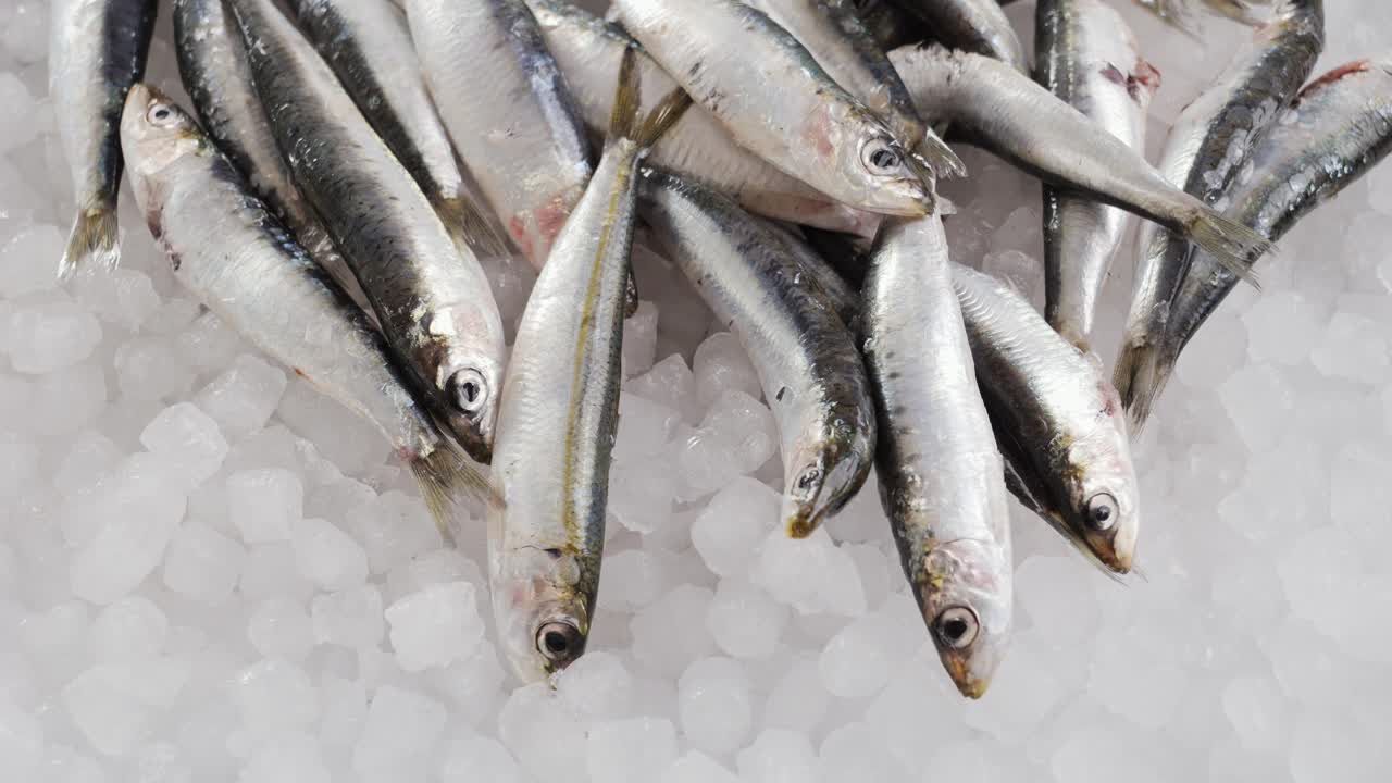 anchoas frescas en hielo