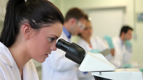 Estudiantes-De-Ciencias-Trabajando-En-El-Laboratorio