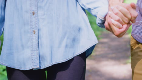 Close-Up-Of-Loving-Couple-Holding-Hands-On-Walk-Along-Path-In-Countryside-Together