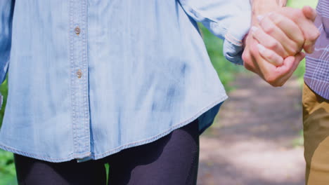 cerca de una pareja amorosa tomados de la mano caminando juntos por el camino en el campo