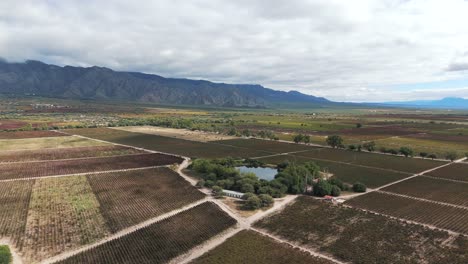 Die-Luftperspektive-Fängt-Die-Schönheit-Der-Torrontés--Und-Malbec-Weinberge-In-Dem-Renommierten-Weinanbaugebiet-Ein,-Das-Für-Sein-Hochgelegenes-Terroir-Bekannt-Ist