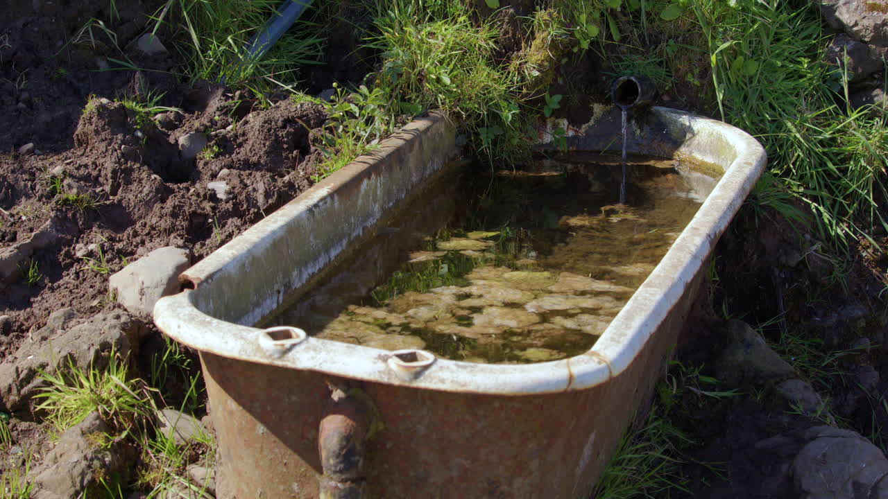 a natural spring pouring into an old cast iron bath with algae floating on the water