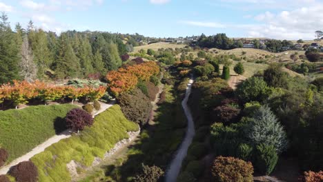 toma de dron 4k del jardín de arce en nueva zelanda