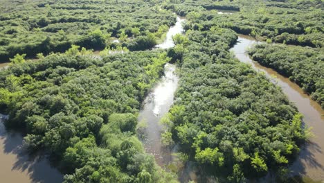 riparian vegetation on the banks of the river, drone view