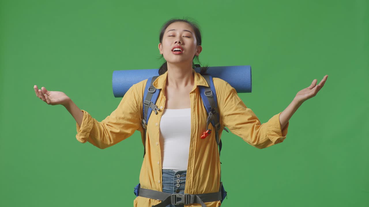 녹색 화면에 배을 가진 여성 여행자