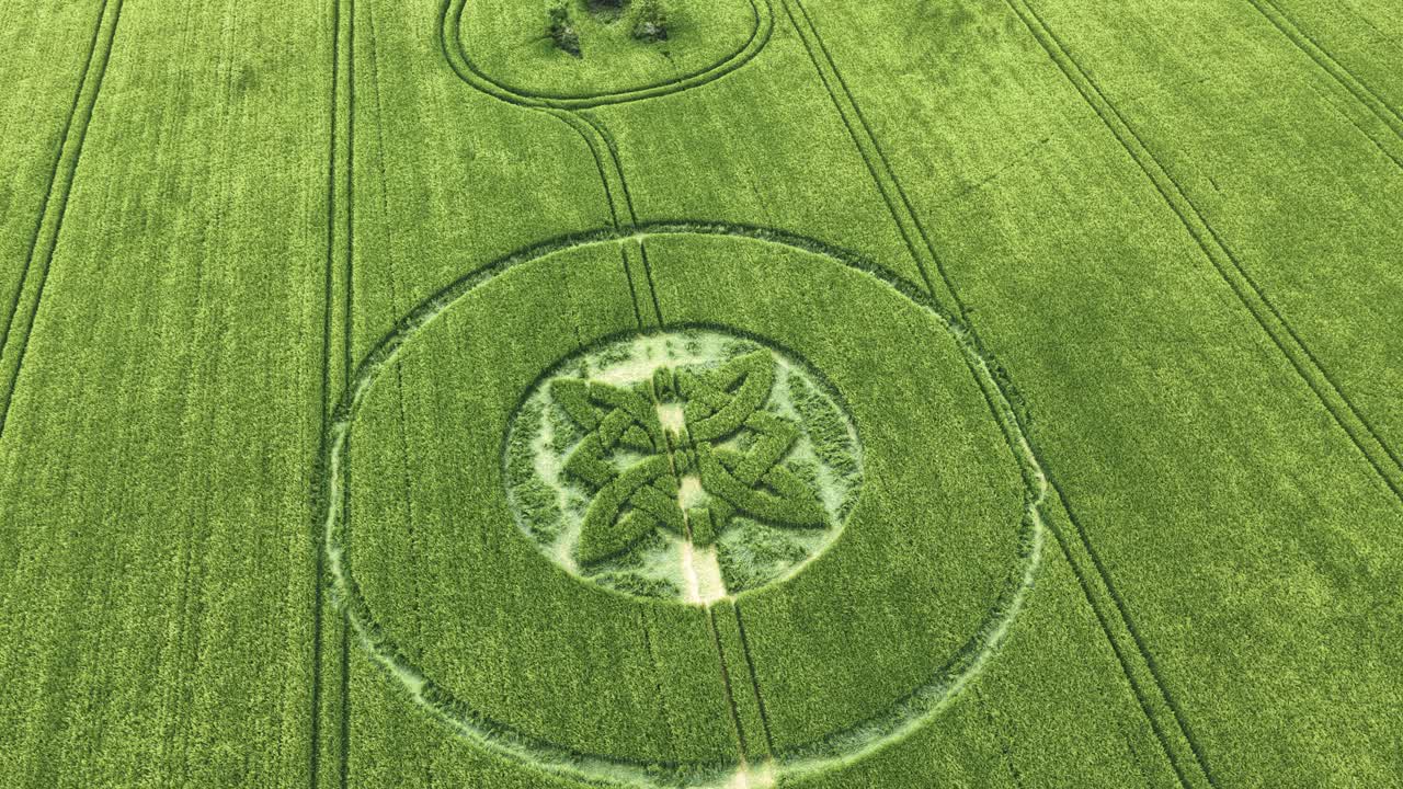 Rounded Celtic knot crop circle aerial view over Sutton Veny 2025 high value barley field vegetation