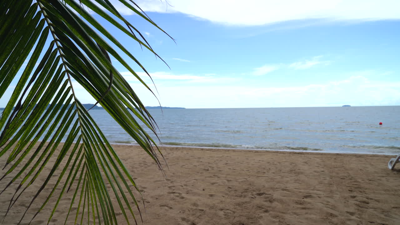 Пальмовый и тропический пляж в Паттайе в Таиланде