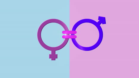 animation of pink and purple female and male gender symbol linked with equals sign, on blue and pink