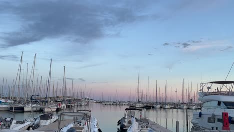a lot of boat at seaport at sunset