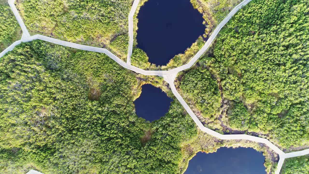 wooden walkway connecting Lovrenska Lakes. Pristine pine tree forest