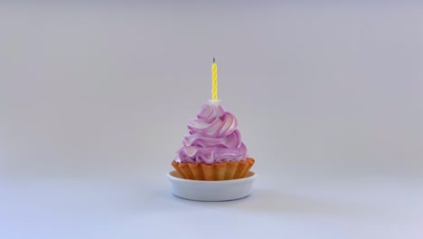 delicious birthday cake with burning and putting out candle