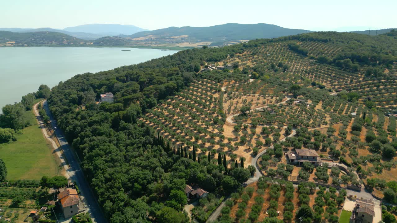 Aerial panorama capturing lush olive groves and verdant woodlands blanketing isola maggiore, largest island nestled within lake trasimeno's pristine umbrian landscape