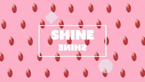 animación de texto brillante sobre patrón rojo en fondo rosa