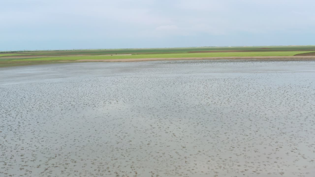 세르비아의 slano kopovo 특별 자연 보호 구역 주변을 비행하는 공중 촬영