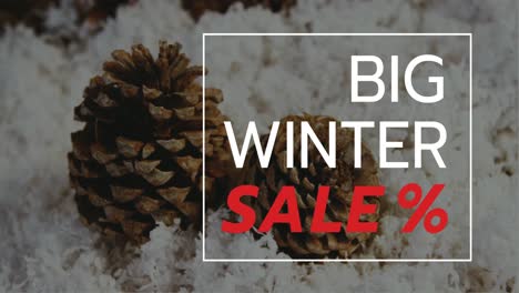 Digitally-generated-video-of-winter-sale-4k