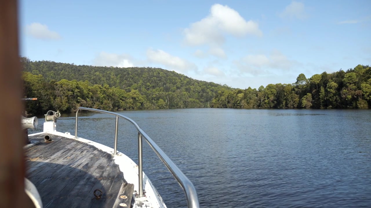 Seitenansicht vom Bug eines Bootes, das an einem sonnigen Tag auf offenem Wasser eine Wildnis-Flusskreuzfahrt entlangfährt, mit offener Tür und umgeben von Wald. Zeitlupenaufnahme. Corinna, Tasmanien, Australien.