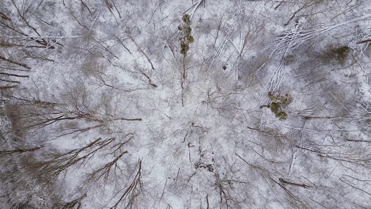 nieve invierno río madera bosque cielo nublado alemania