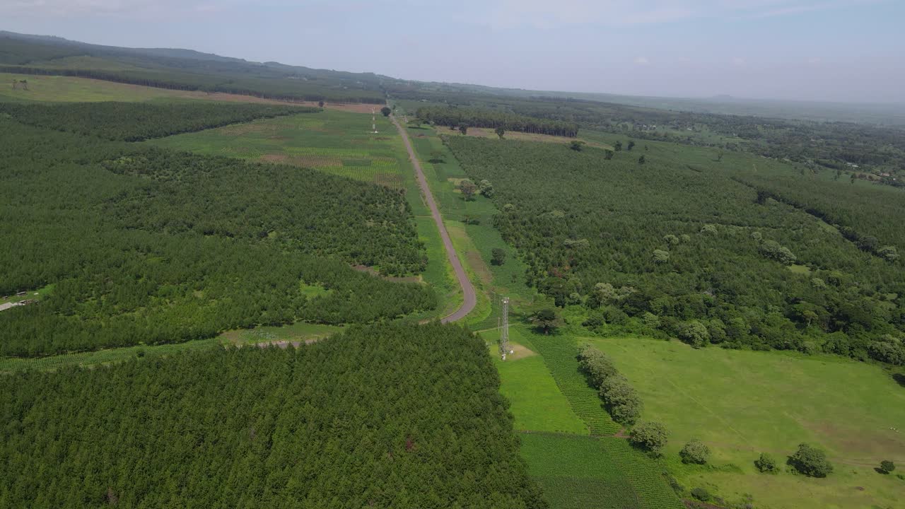 camino sinuoso en la zona boscosa del sur de kenia, áfrica en toma aérea