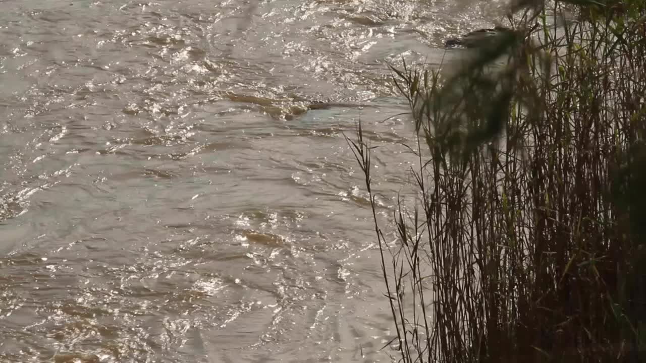 Vaal river through the Free State
