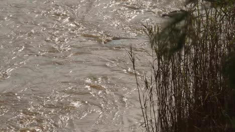 vaal river through the free state