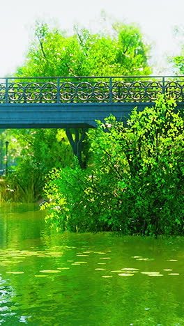 bridge over a river in a green park