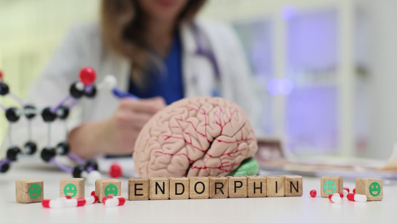 Palavra Endorfina com Modelo de Cérebro e Médico em Ambiente Médico