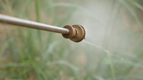 close up fertilizer spraying on pineapple farm in thailand