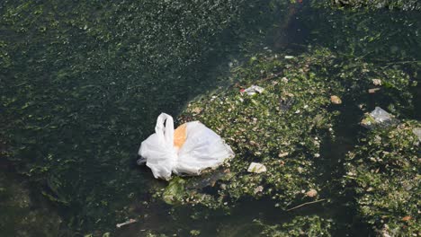 residuos plásticos en el agua contaminada