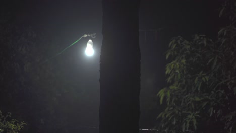 Licht-Scheint-Hinter-Einem-Baum