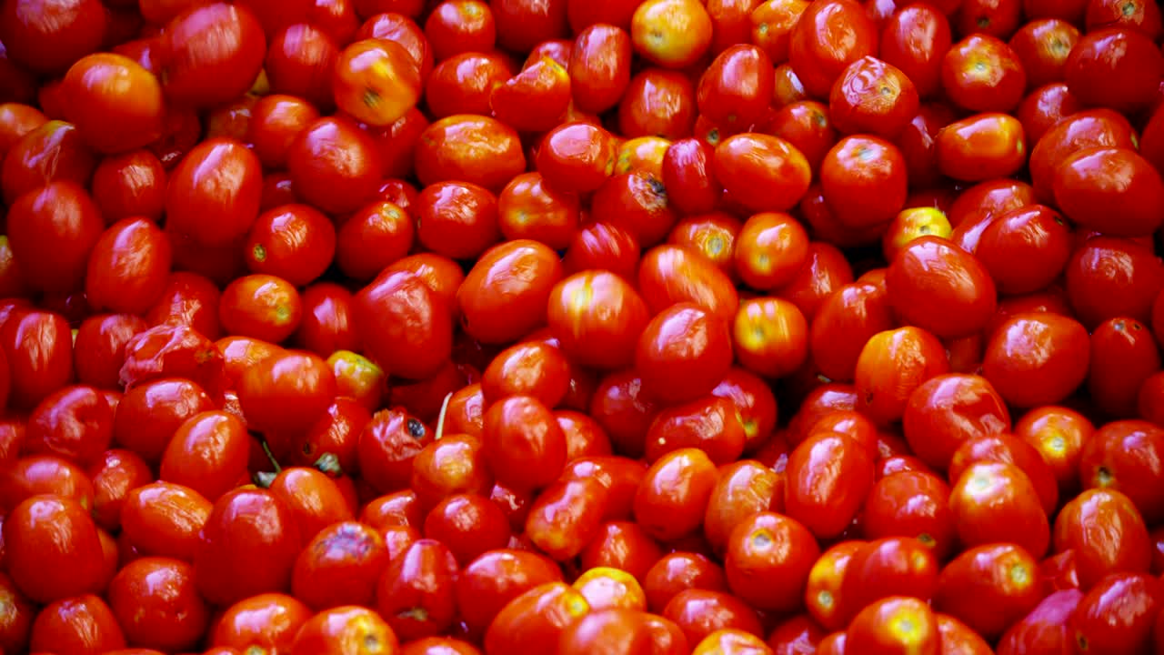 토마토 산업에서 은 토마토는 물로 가득 찬 크로 들어가서 과 꺼기에서 겨서 깨하게 나옵니다.