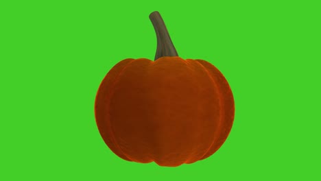 halloween funny pumpkin spinning on a green background