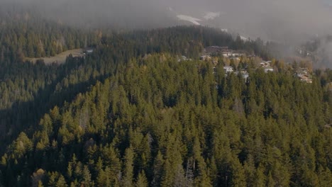 Antena-De-Zoom-Lateral-Sobre-Hermosos-Bosques-De-Pinos-Verdes-Y-Exuberantes-En-Las-Montañas-Suizas,-Suiza,-Con-Un-Panorama-épico-De-Montaña-Alpina-Y-árboles-Que-Cubren-Las-Laderas-De-Las-Montañas-Con-Nieve-A-Gran-Altura