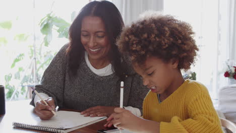 Middle-aged-woman-sitting-at-the-dining-table-doing-homework-with-her-granddaughter,-close-up